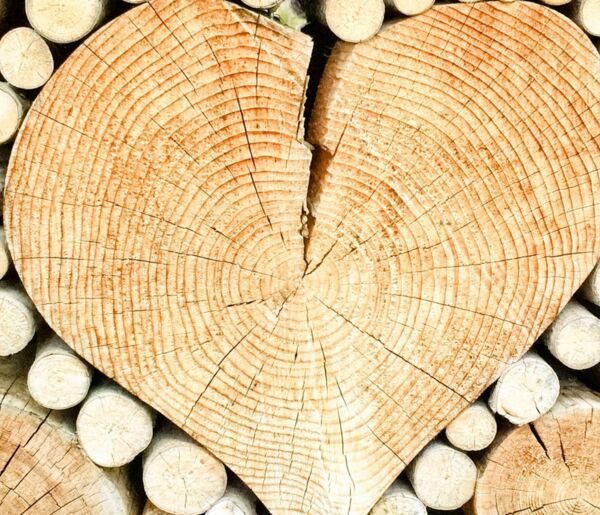 Aus Liebe zum Holz