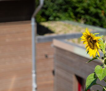 Außenansicht Einfamilienhaus Nettersheim